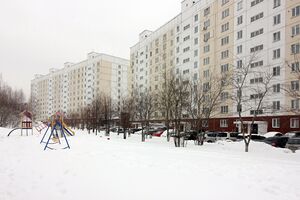 Татьяны Снежиной 51 (1).jpg