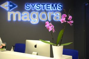 Magora Systems.jpg