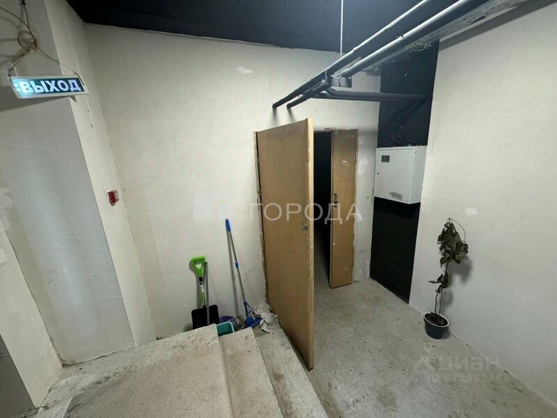 Файл:116477590 2.jpg