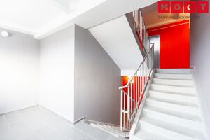 Спортивная 29 МОСТ 6.jpg