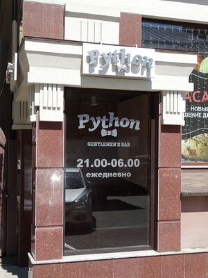 Python Ядринцевская 21 (2) (Сибирский неон).jpg