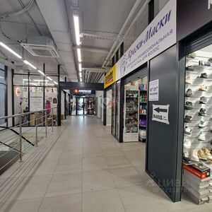 Фламинго 15 4.jpg