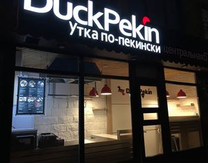 DuckPekin 1.jpg