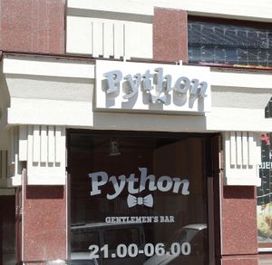 Python Ядринцевская 21 (Сибирский неон).jpg