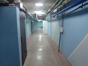 Фрунзе 5 цоколь (1).jpg