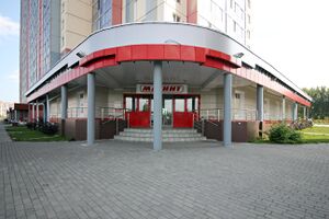 Петухова 160 (магнит).jpg