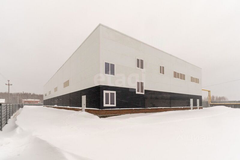 Файл:Векторное шоссе 51 2.jpg