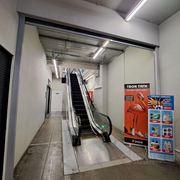 Файл:Фламинго 15 3.jpg